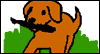 A Card From Your Dog