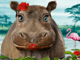 Kissopotamus<br>Talking Card