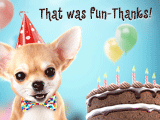 Chi-WOW-a! That Was Fun! (Reply Card)