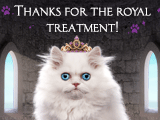 Royal Treatment (Reply Card)
