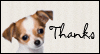 Furry Thanks<br>Reply Card