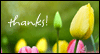 Heartfelt Thanks<br>Reply Card