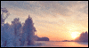New Year<br>Reply Card