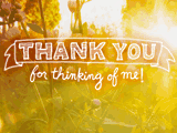 Thank You Reply