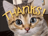 Thanks<br>Reply Card