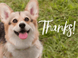 Thanks<br>Reply Card