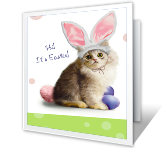 Free Blue Mountain Easter Greeting Cards 45