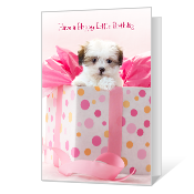 Happy Little Birthday Birthday Cards