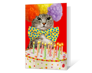 Birthday Cat-ittude Birthday Cards