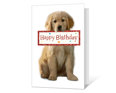 For Someone Nice Birthday Cards