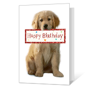 For Someone Nice Birthday Cards