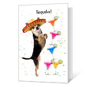 Tequila Birthday Birthday Cards