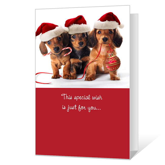 Loving Wish Christmas Cards
