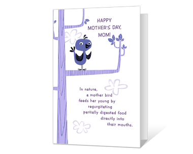 Funny Printable Seasonal Cards Blue Mountain