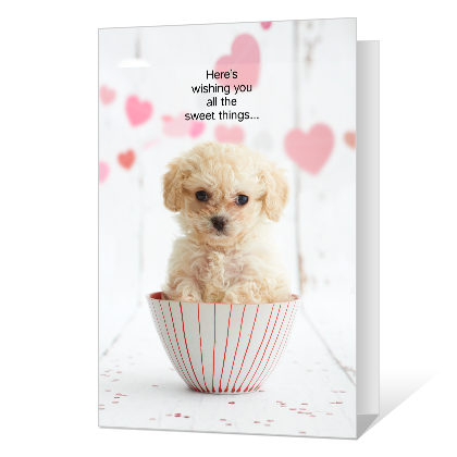Paws to Celebrate Valentine's Day Cards