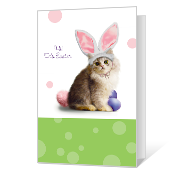 Purrfect Easter Easter Cards