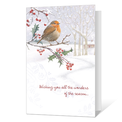 Wonders of the Season Season's Greetings Cards