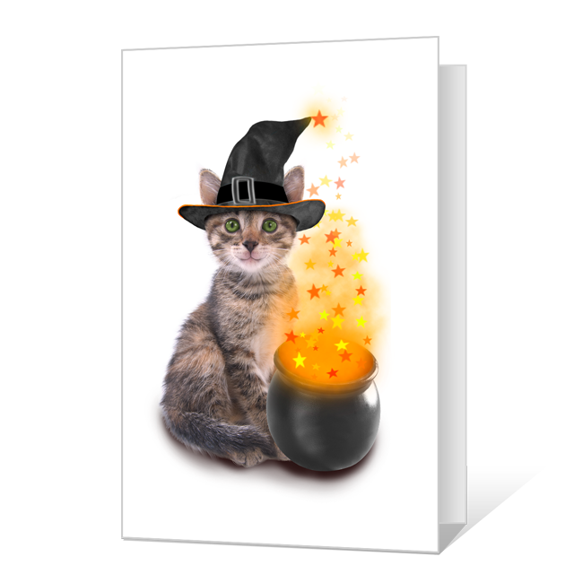 Halloween Fun Halloween Cards