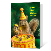 A Nutty Birthday Birthday Cards