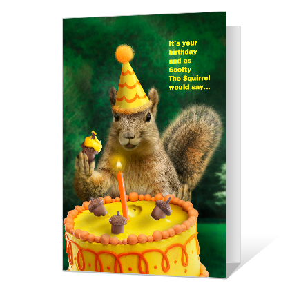 A Nutty Birthday Birthday Cards