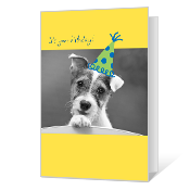 Tail-wagging Birthday Birthday Cards