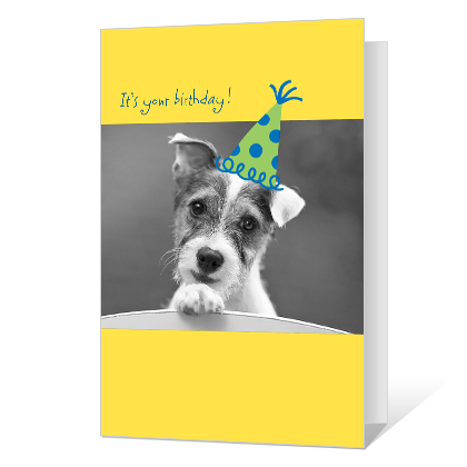 Tail-wagging Birthday Birthday Cards
