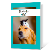 You're Wonderful Birthday Cards