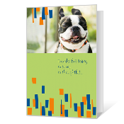 Doggone Great Thank You Cards