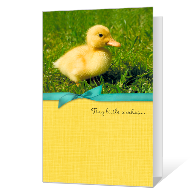 Great Big Love Easter Cards