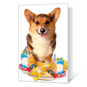 Birthday to Remember Printable Birthday Cards