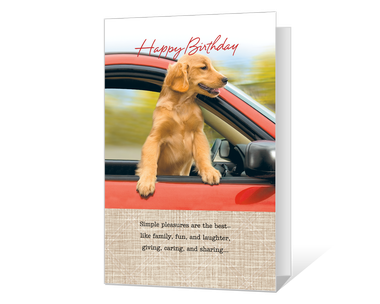 Joy of Celebrating Birthday Cards