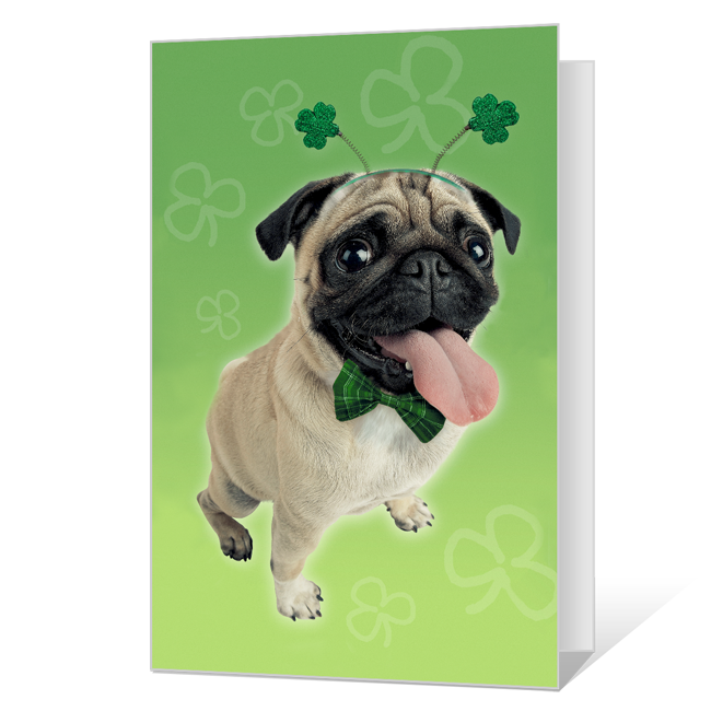 Pugs and Kisses St. Patrick's Day Cards