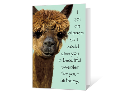 Birthday Alpaca Birthday Cards