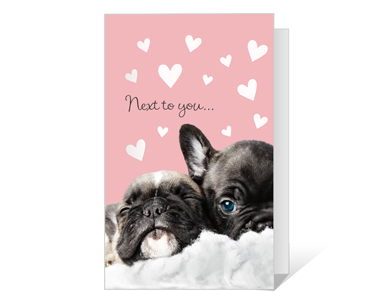 Mother's Day Card Anniversary Card French Instant Digital Download 7x5 Card Printable Birthday Card French Bulldog