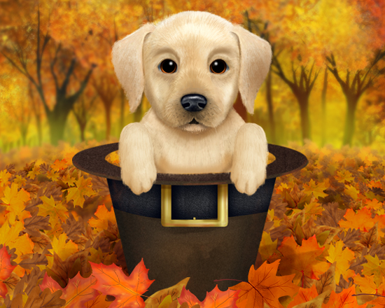 Thanksgiving Dog Puppy Bow Tie Table Chair Greeting Card New W// TRACKING