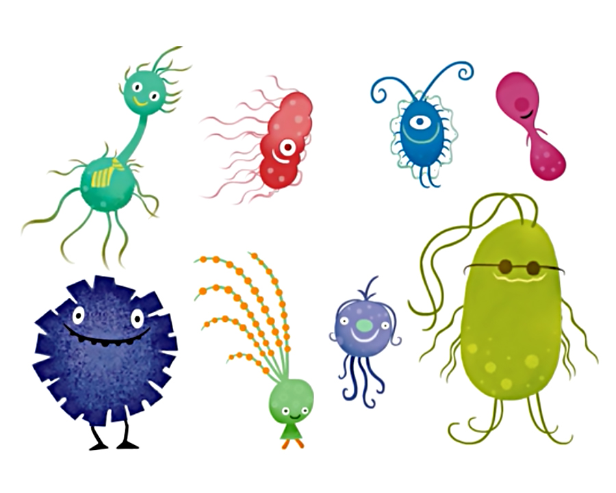 Even Germs Love You Ecard | American Greetings