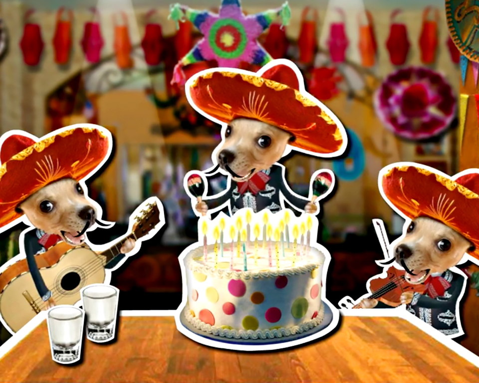 Tequila Chihuahua Ecard American Greetings