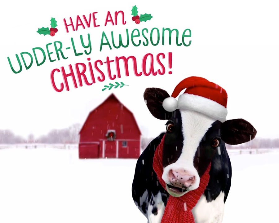 Merry Christmas. I Got You a Tiny Cow. - The New York Times