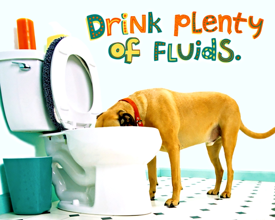 drink-plenty-of-fluids-ecard-american-greetings