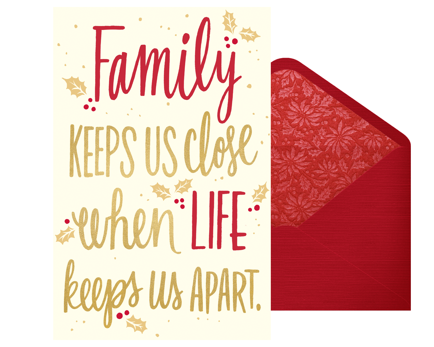 Family Means So Much American Greetings